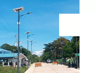 Trang trại và trang trại chăn nuôi
